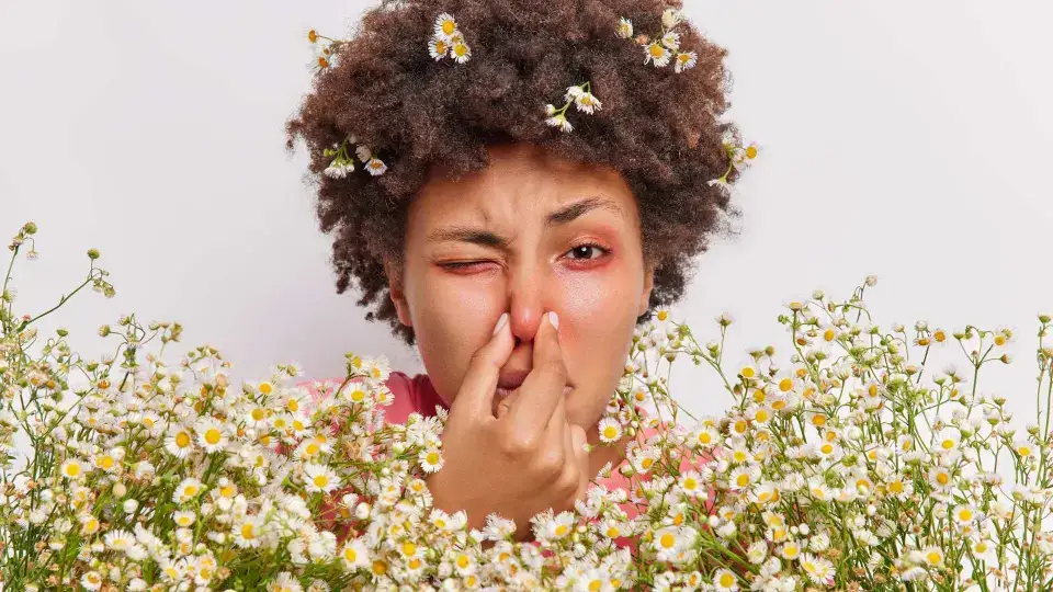 &Agrave; quel moment le pollen atteint son pic