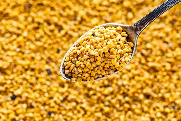 dose quotidienne recommand&eacute;e de pollen pour un adulte