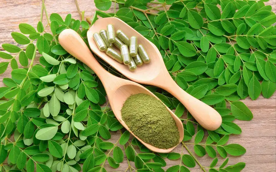 effets secondaires du moringa