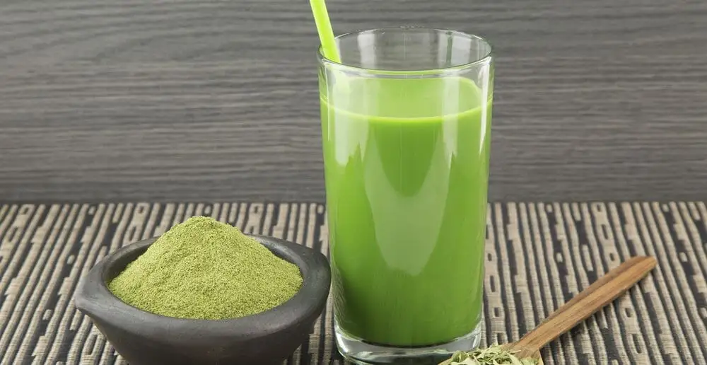 moringa pour perdre du poids