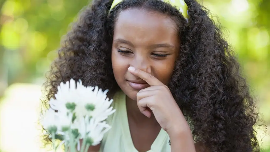 Quelle est la plus efficace contre l&rsquo;allergie au pollen