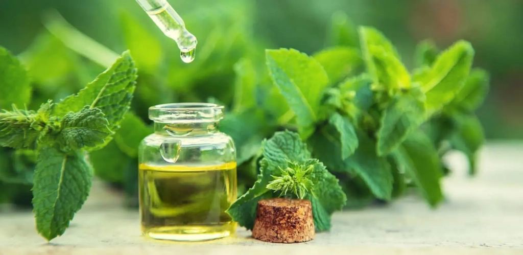Quels traitements naturels peuvent compl&eacute;ter les m&eacute;dicaments contre l'allergie au pollen