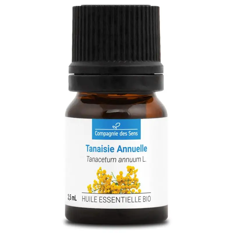 Tanaisie annuelle