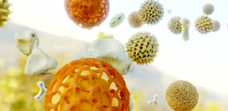 types de pollen