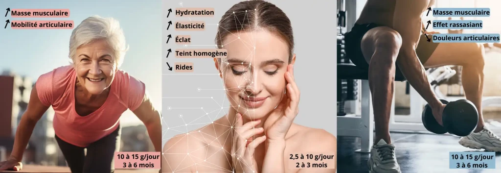 r&eacute;cup&eacute;ration musculaire et au maintien de la masse maigre