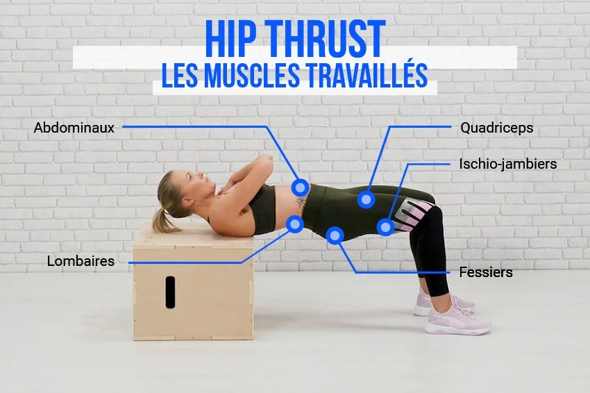 hip thrust muscle sollicit&eacute;